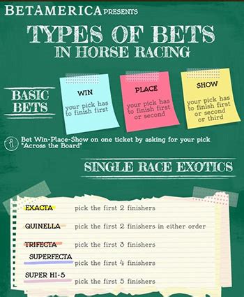 horse betting terms - horse racing vocabulary